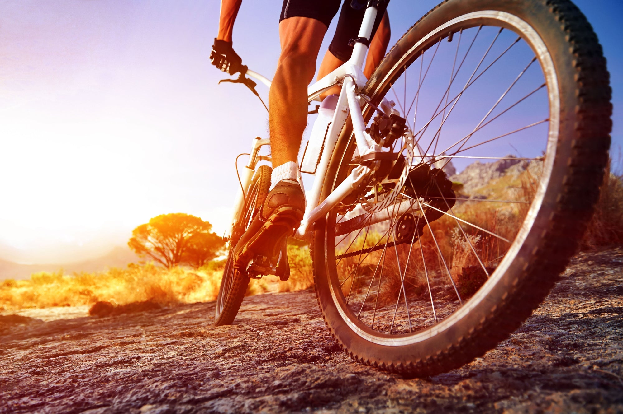 How to Choose the Right Bike for Your Lifestyle