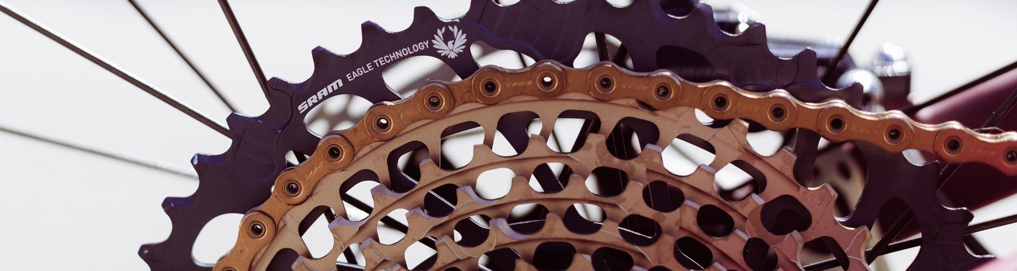 CASSETTES - Stage 21 Bikes