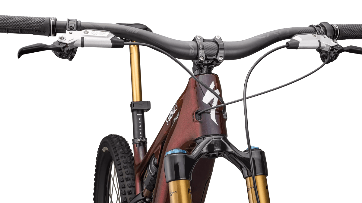 S-Works Turbo Levo 4
