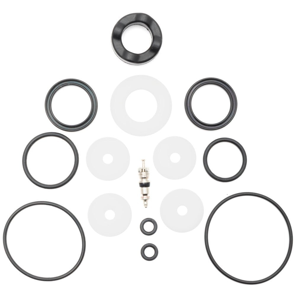CannondaleLefty Oliver 100hr Service Seal Kit - Cannondale